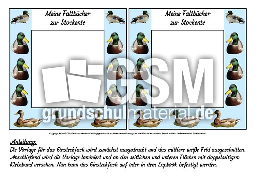 Fach-Faltbücher-Stockente.pdf